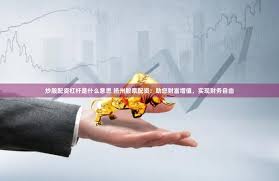 《杠杆江湖：一个配资小白的荆门奇遇记》